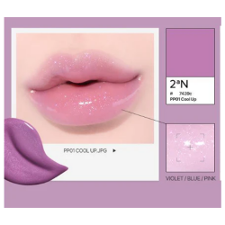 2aN Bare Flash Gloss PP01 Cool Up 5 gr - 5