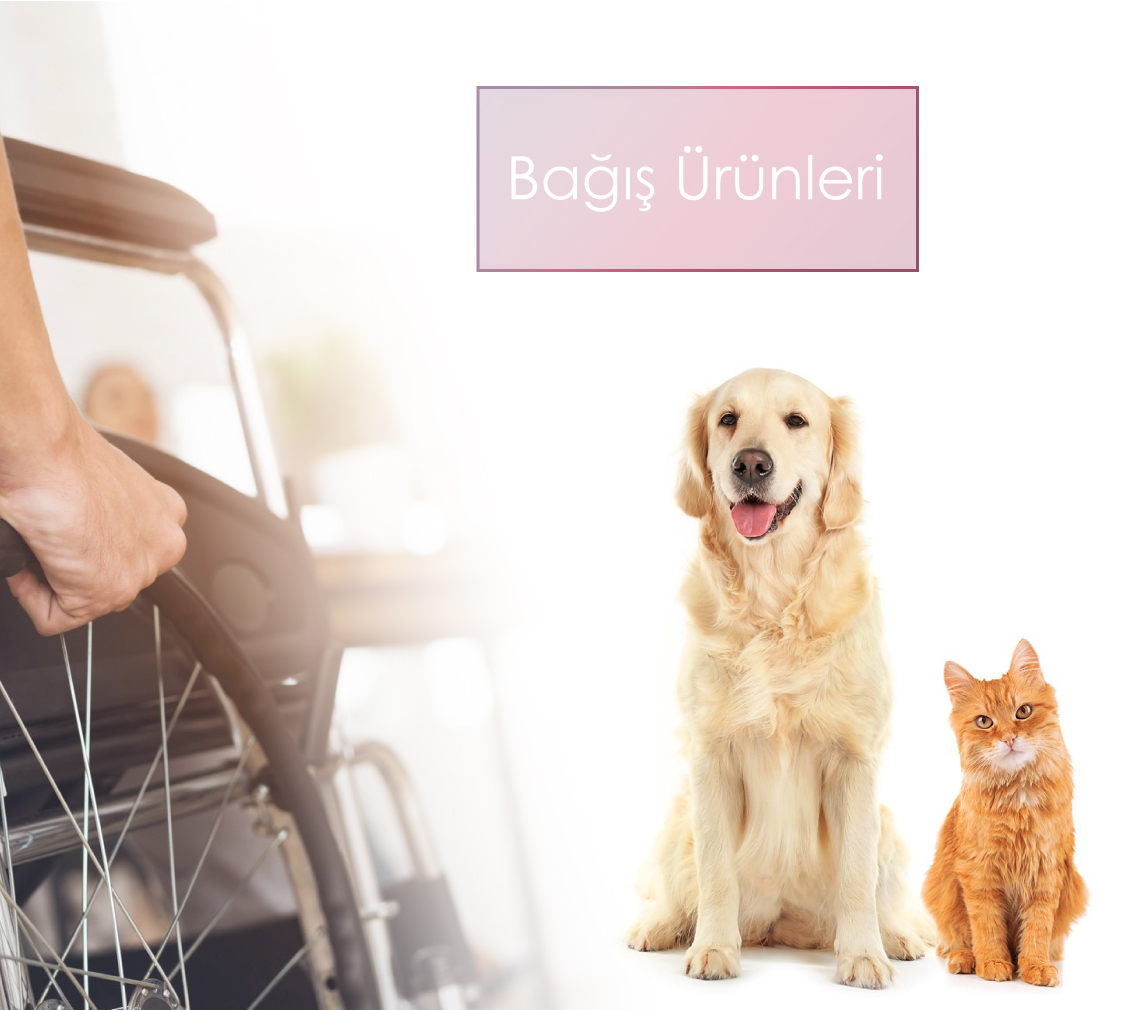 Bağış Ürünleri