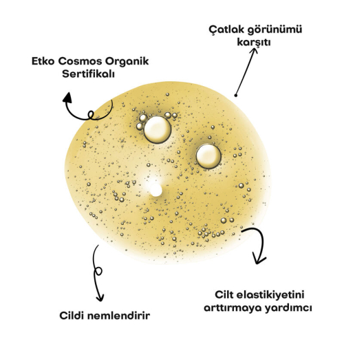 Alls Biocosmetics Organik Çatlak Önlemeye Yardımcı Yağ 150 ml - 7