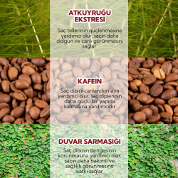 Alls Biocosmetics Organik Dökülme Karşıtı Prebiyotik Şampuan 350 ml - 4