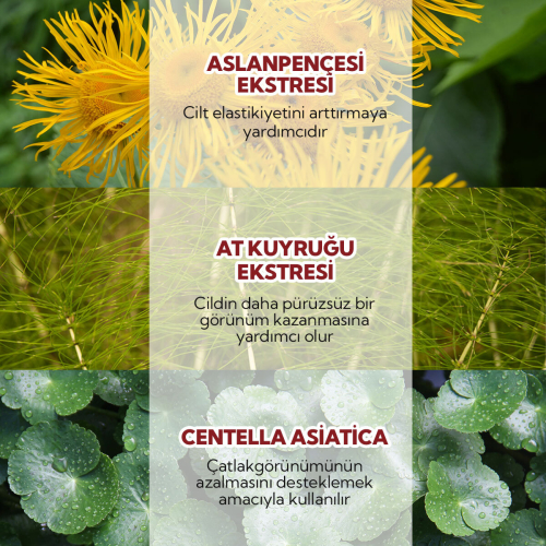 Alls Biocosmetics Organik Anti Stretch Mark Çatlak Önlemeye Yardımcı Jel 200 ml - 4