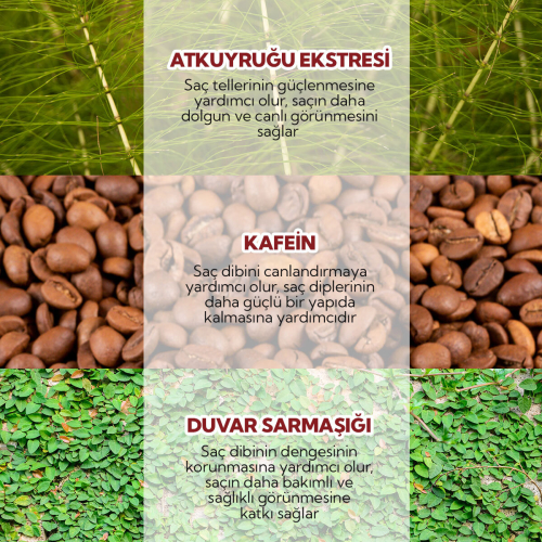 Alls Biocosmetics Organik Besleyici Prebiyotik Saç Kremi 100 ml - 4