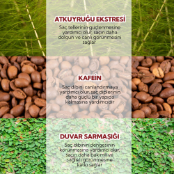 Alls Biocosmetics Organik Besleyici Prebiyotik Saç Kremi 350 ml - 4