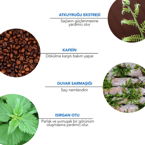 Alls Biocosmetics Organik Dökülme Karşıtı Prebiyotik Şampuan 100 ml - 6