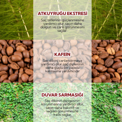 Alls Biocosmetics Organik Dökülme Karşıtı Prebiyotik Şampuan 100 ml - 4