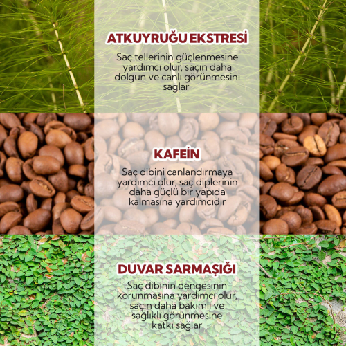 Alls Biocosmetics Organik Dökülme Karşıtı Prebiyotik Şampuan 100 ml - 4