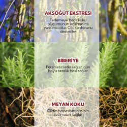 Alls Biocosmetics Organik Prebiyotik Roll on Deodorant 75 ml - Erkekler İçin - 4