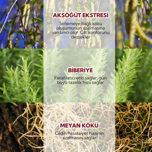 Alls Biocosmetics Organik Prebiyotik Roll on Deodorant 75 ml - Kadınlar İçin - 4