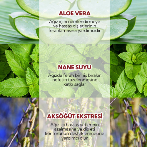 Alls Biocosmetics Organik Sertifikalı Konsantre Ağız Çalkalama Suyu 100 ml - 3