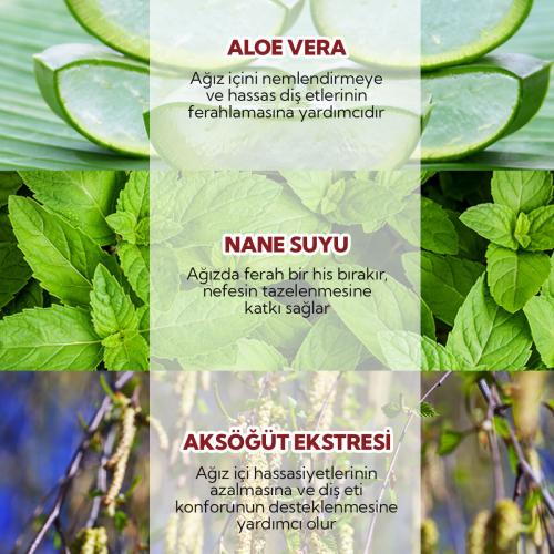 Alls Biocosmetics Organik Sertifikalı Konsantre Ağız Çalkalama Suyu 240 ml - 4