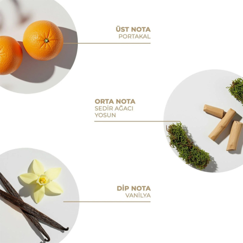 And You Forest Glow Vücut Spreyi 100 ml - 2