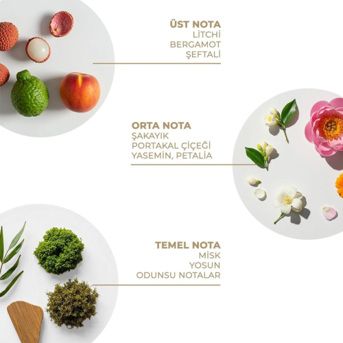 And You Gingham Fresh Vücut Spreyi 100 ml - 2