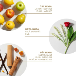 And You Sweet Dreams Vücut Spreyi 100 ml - 2