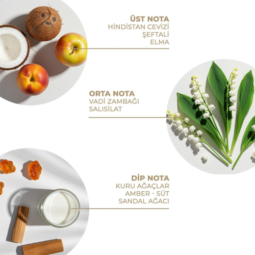 And You Sweet Tropical Dream Spreyi 100 ml - 2