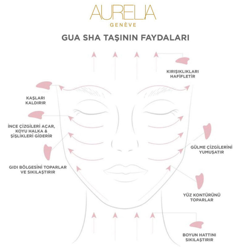 Aurelia Geneve Rose Quartz Wing Gua Sha - 2