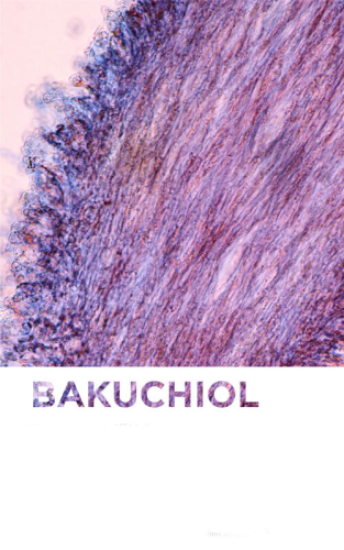 Bioderma Sensibio AR+ Bi-Serum 30 ml - 2