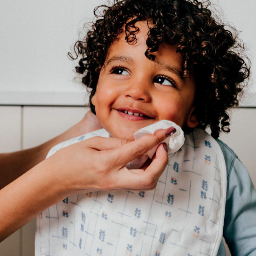 Biolane Organik Su Bazlı Mendiller 54 Adet - 2