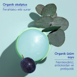 Caudalie Vinofresh Doğal Stick Deodorant 50 gr - 5