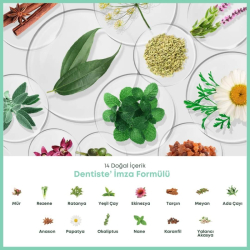 Dentiste Kids Karışık Meyve Aromalı Diş Macunu 60 g - 3