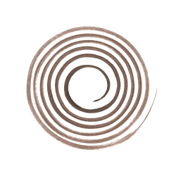 Essence Ekstra Kalıcı Eyeliner 020 Kahverengi 1 ml - 6