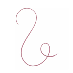 Essence Line n Stain Tattoo LipLiner 2,5 ml - 03 Make A Mauve - 2