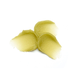 Essence Lip Care Sugar Scrub 9 gr - 02 Matcha Latte - 3