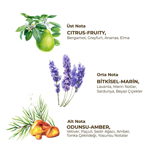 Eyüp Sabri Tuncer Roll-On Deodorant Active - Erkekler İçin 75 ml - 2