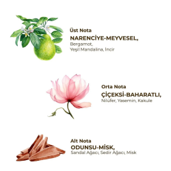 Eyüp Sabri Tuncer Roll-On Deodorant Active - Kadınlar İçin 75 ml - 2