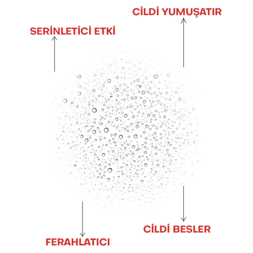 From Natura Aloe ve Arnica SOS Sprey 200 ml - 3