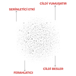 From Natura Aloe ve Arnica SOS Sprey 200 ml - 3