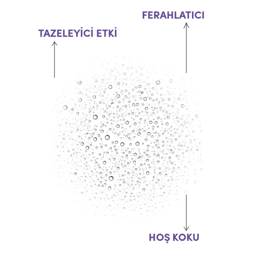 From Natura Aromatik Lavanta Kolonyası 50 ml - 3