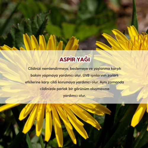 From Natura Aspir Yağı 30 ml - 4