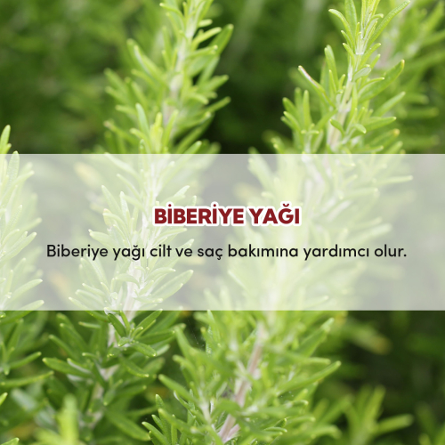 From Natura Uçucu Biberiye Yağı 30 ml - 3
