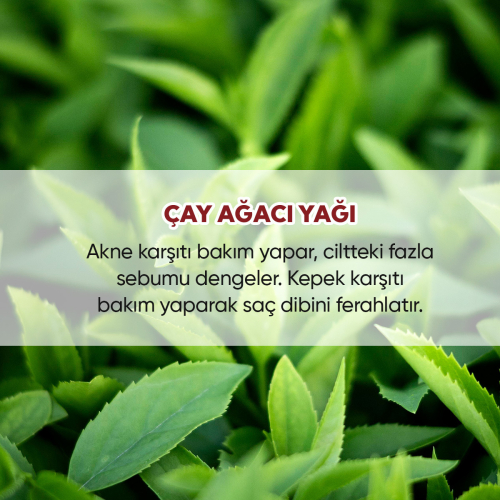 From Natura Uçucu Çay Ağacı Yağı 18 ml - 3