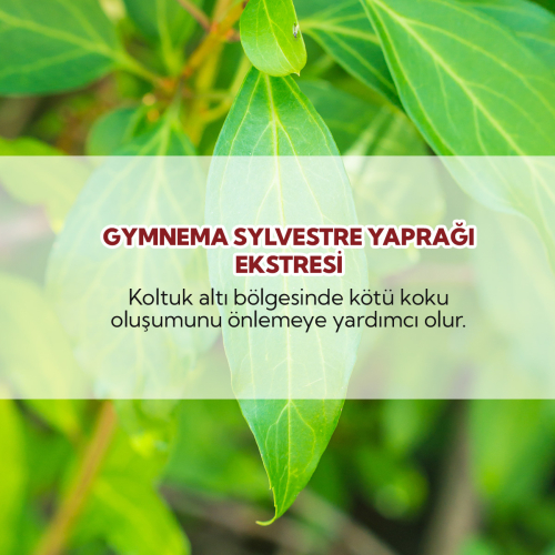 From Natura Erkekler İçin Terleme Karşıtı Roll-on Deodorant 75 ml - 3