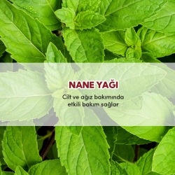 From Natura Organik Uçucu Nane Yağı 18 ml - 3