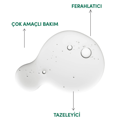 From Natura Organik Uçucu Nane Yağı 18 ml - 2