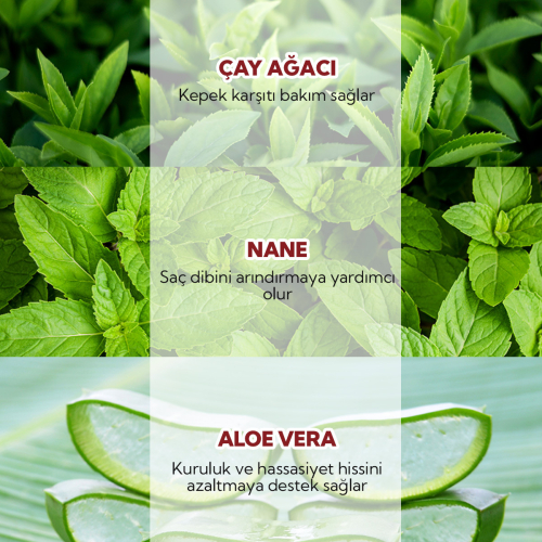 From Natura Tea Tree Mint Kepek Karşıtı Şampuan 350 ml - 4