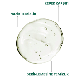 From Natura Tea Tree Mint Kepek Karşıtı Şampuan 350 ml - 3
