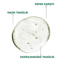 From Natura Tea Tree Mint Kepek Karşıtı Şampuan 100 ml - 3