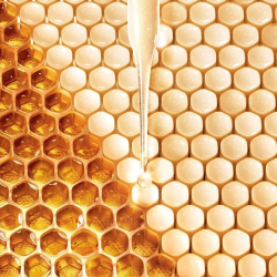 Guerlain Abeille Royale Cleansing Oil 150 ml - 3