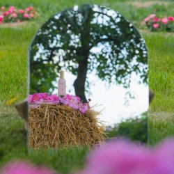 Gülsha Güzellik Misti 100 ml - 4