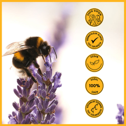 Heaven On Earth Bebek Köpük Şampuan 150 ml - 6