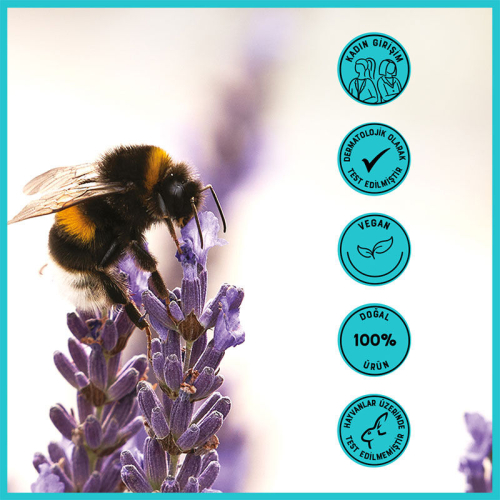 Heaven On Earth Şampuan 300 ml - 7