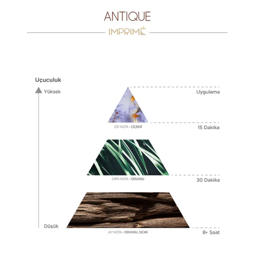 Imprime Antique EDP Erkek Parfüm 15 ml - 3