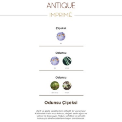Imprime Antique Edp Erkek Parfümü 100 ml - 4