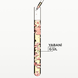 Kerastase Gloss Absolu Glaze Milk Elektriklenme Karşıtı Sprey Bakım Sütü 190 ml - 3