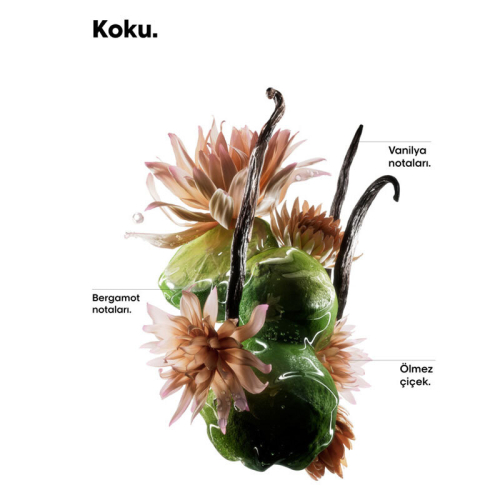 LOreal Professionnel Absolut Repair Molecular Çift Fazlı Profesyonel Bakım Yağı 90 ml - 5