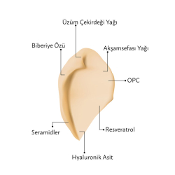 M. Asam VINOLIFT Yaşlanma ve Kırışıklık Karşıtı Sıkılaştırıcı Yüz Kremi 50 ml - 4