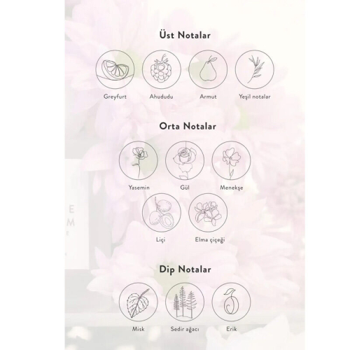 Matsu Harmony Saç Parfümü 50 ml - 5